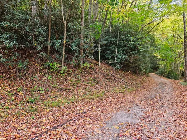 $14,000 | 14-b Lot Pennington Branch Road, Unit 14B, Troutdale, VA 24378