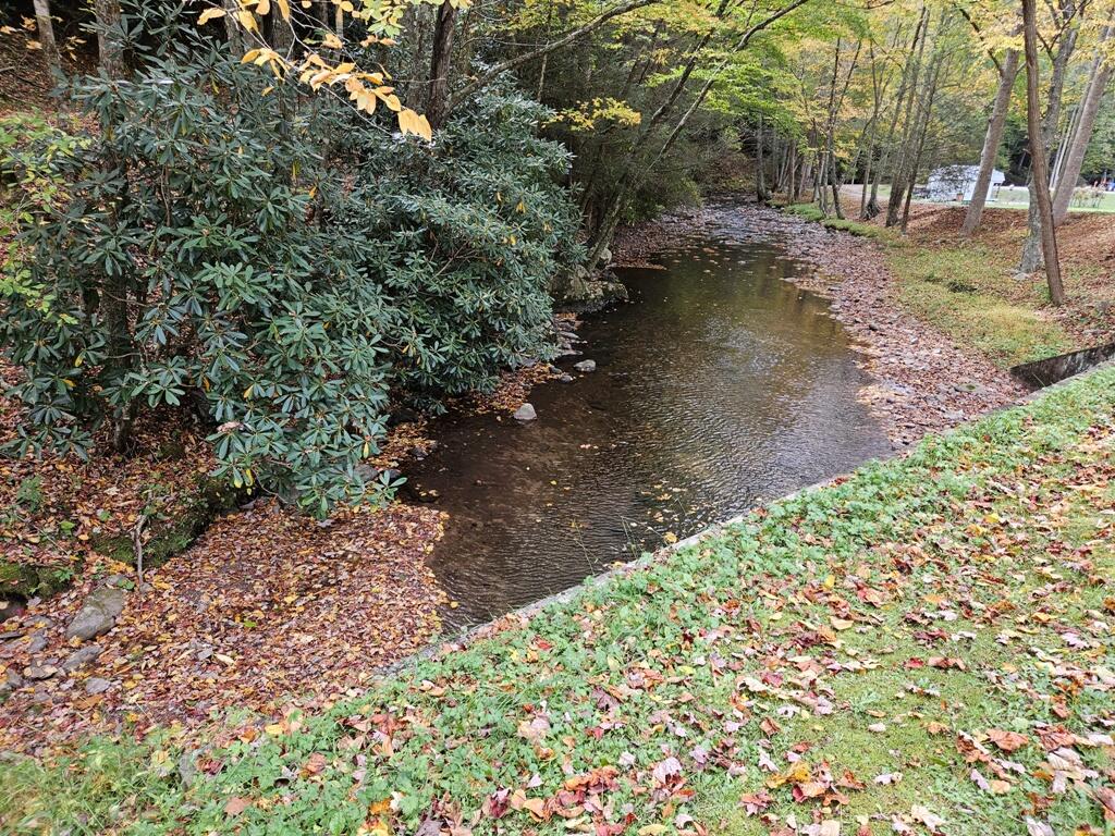 14-b Lot Pennington Branch Road, Unit 14B Troutdale, VA 24378 - Photo 2 of 7 3