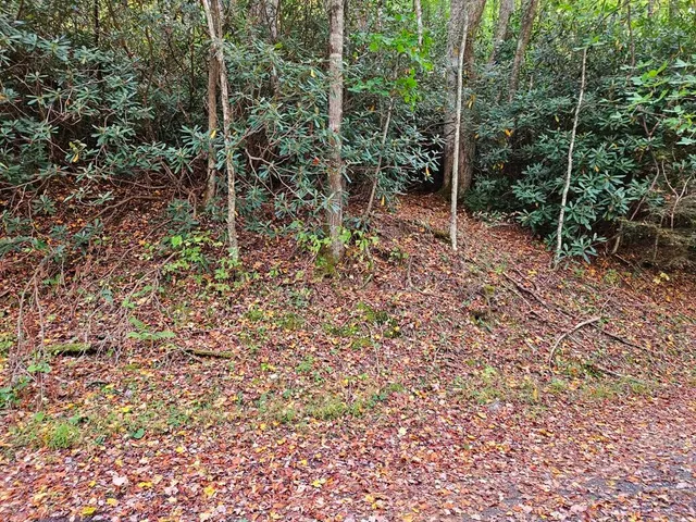 $18,500 | 14-b Lot Pennington Branch Road, Unit 14B, Troutdale, VA 24378