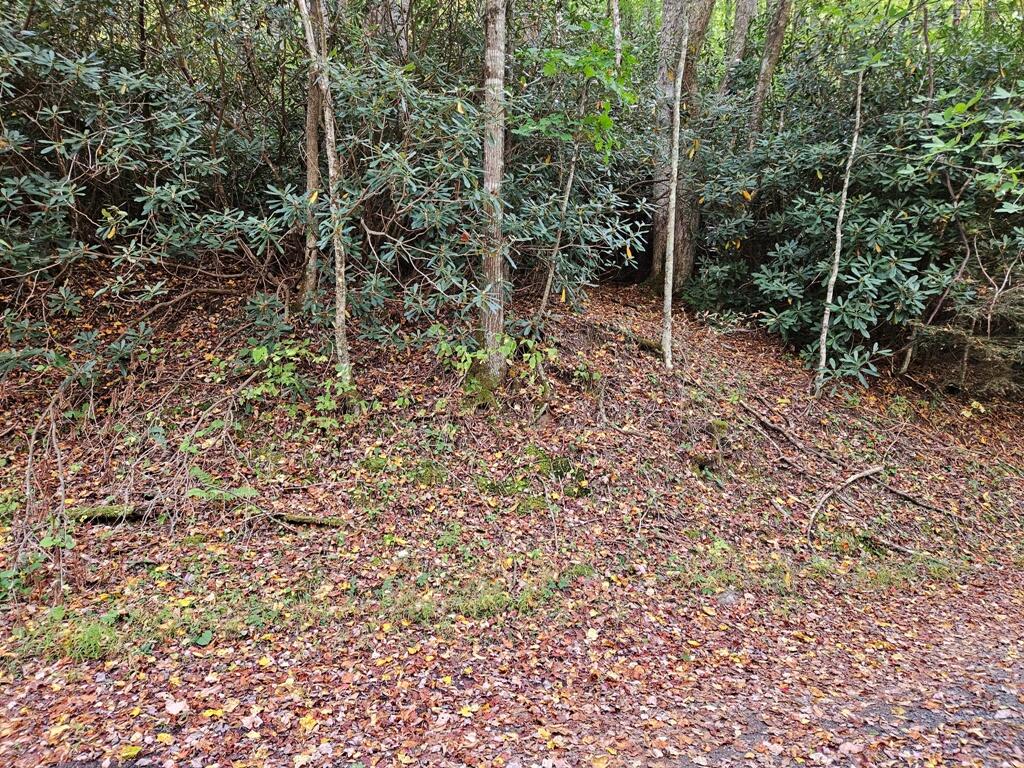 14-b Lot Pennington Branch Road, Unit 14B Troutdale, VA 24378 - Photo 3 of 7 4