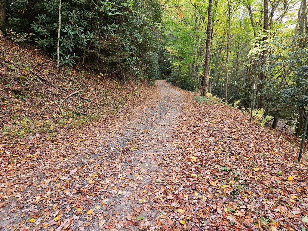 14-b Lot Pennington Branch Road, Unit 14B Troutdale, VA 24378 - Photo 4 of 7 5