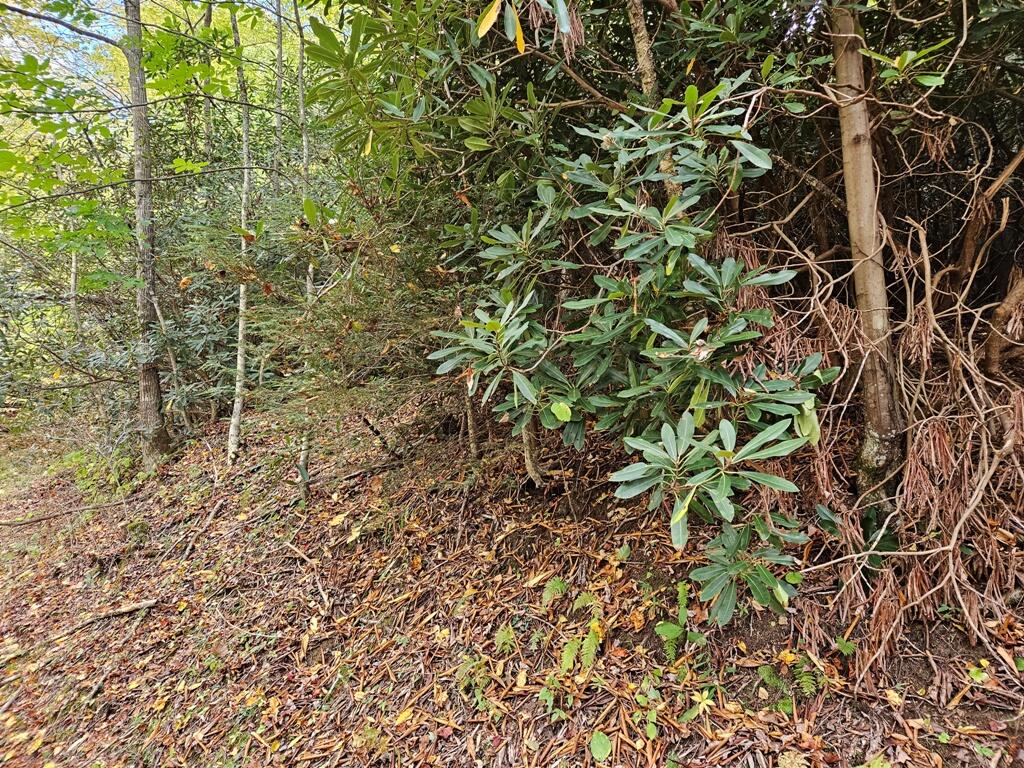 14-b Lot Pennington Branch Road, Unit 14B Troutdale, VA 24378 - Photo 6 of 7 7