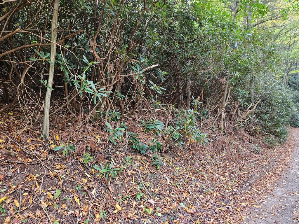 14-b Lot Pennington Branch Road, Unit 14B Troutdale, VA 24378 - Photo 7 of 7 20231008_125718