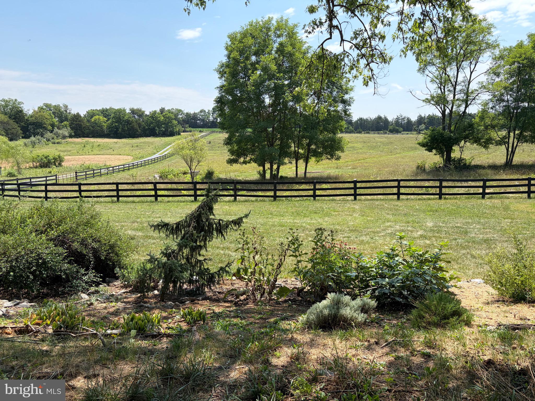 936 Gun Barrel Road White Post, VA 22663 - Photo 7 of 41 Polllinator Gardens, herbs, grape vines and more