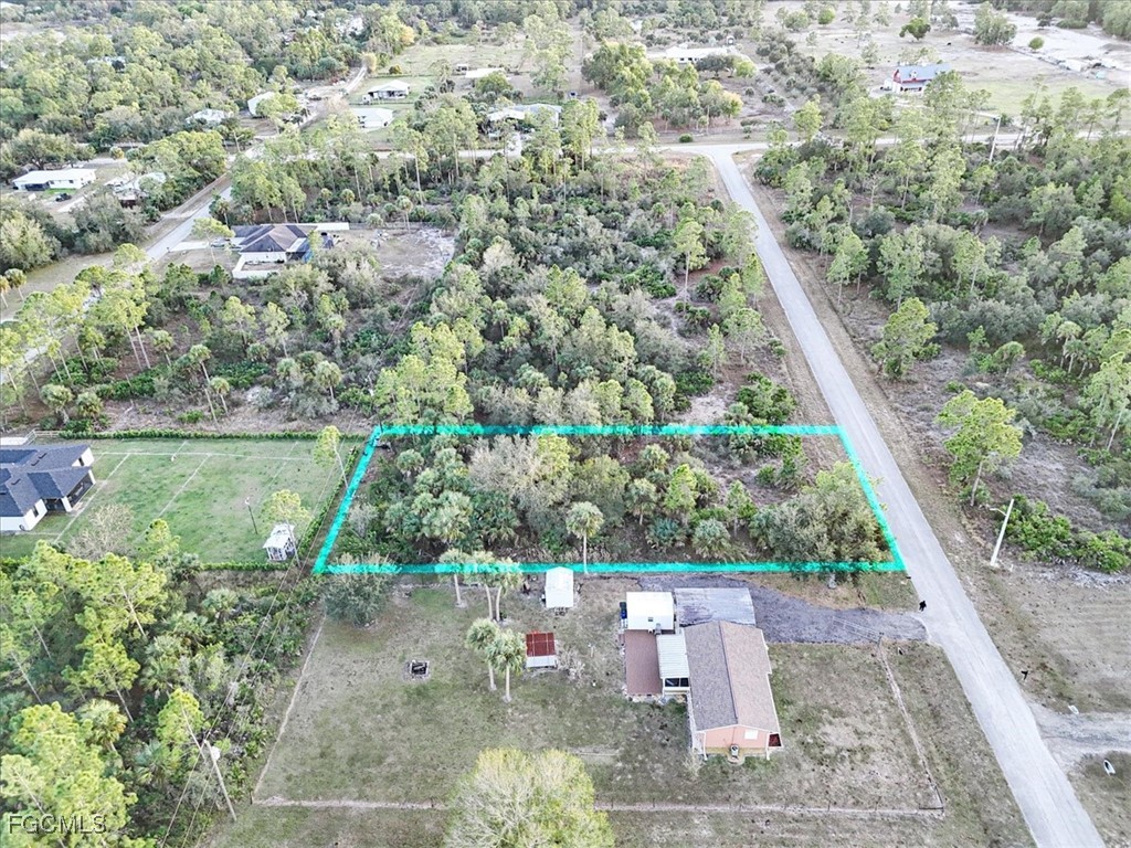 2310 Louis Avenue Alva, FL 33920 - Photo 2 of 32