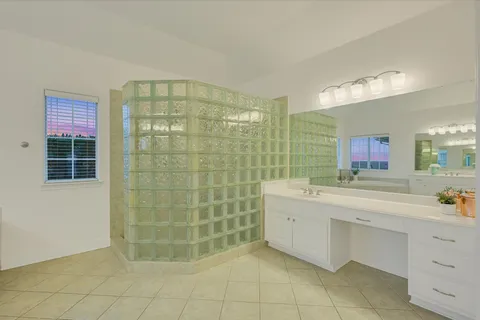 a bathroom with a sink mirror and a shower