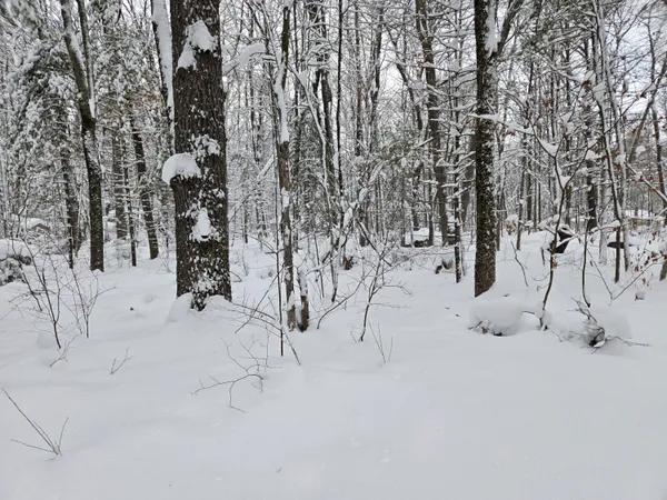 $13,000 | V/l South Whalen Lake Road, Baldwin, MI 49304