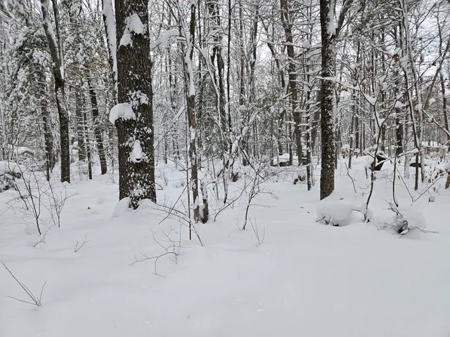 $13,500 | V/l South Whalen Lake Road, Baldwin, MI 49304