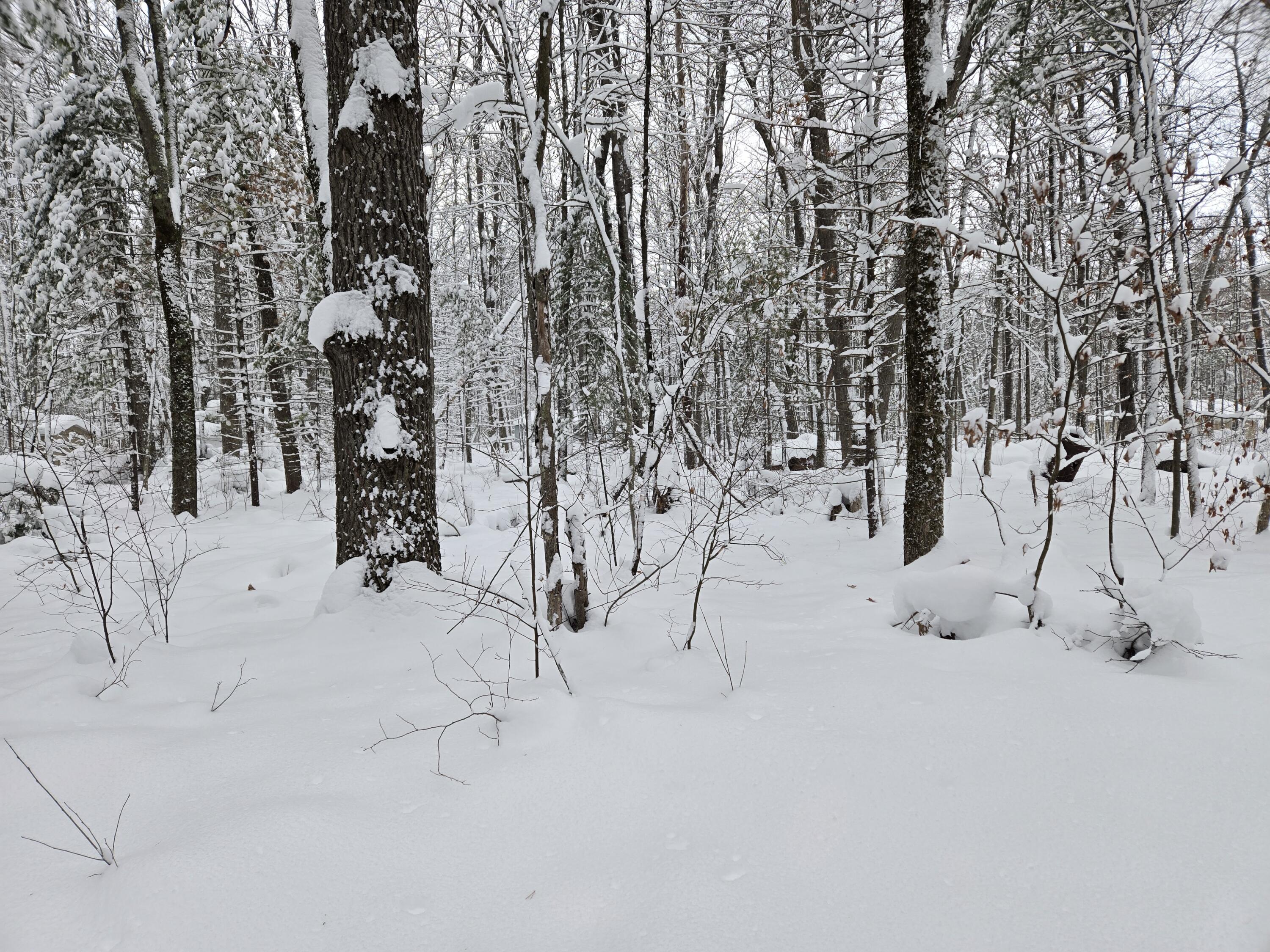 V/l South Whalen Lake Road Baldwin, MI 49304 - Photo 1 of 3 property