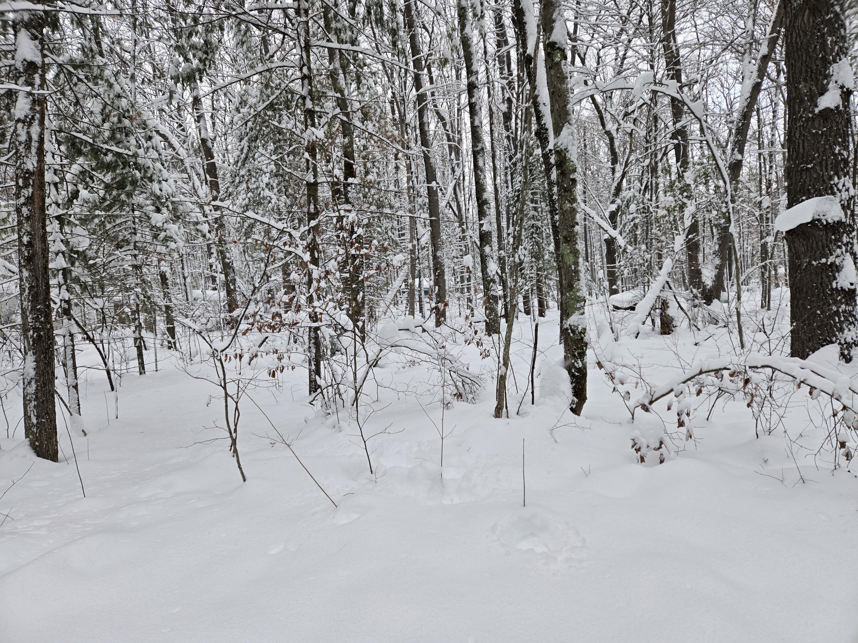 V/l South Whalen Lake Road Baldwin, MI 49304 - Photo 2 of 3 vs7