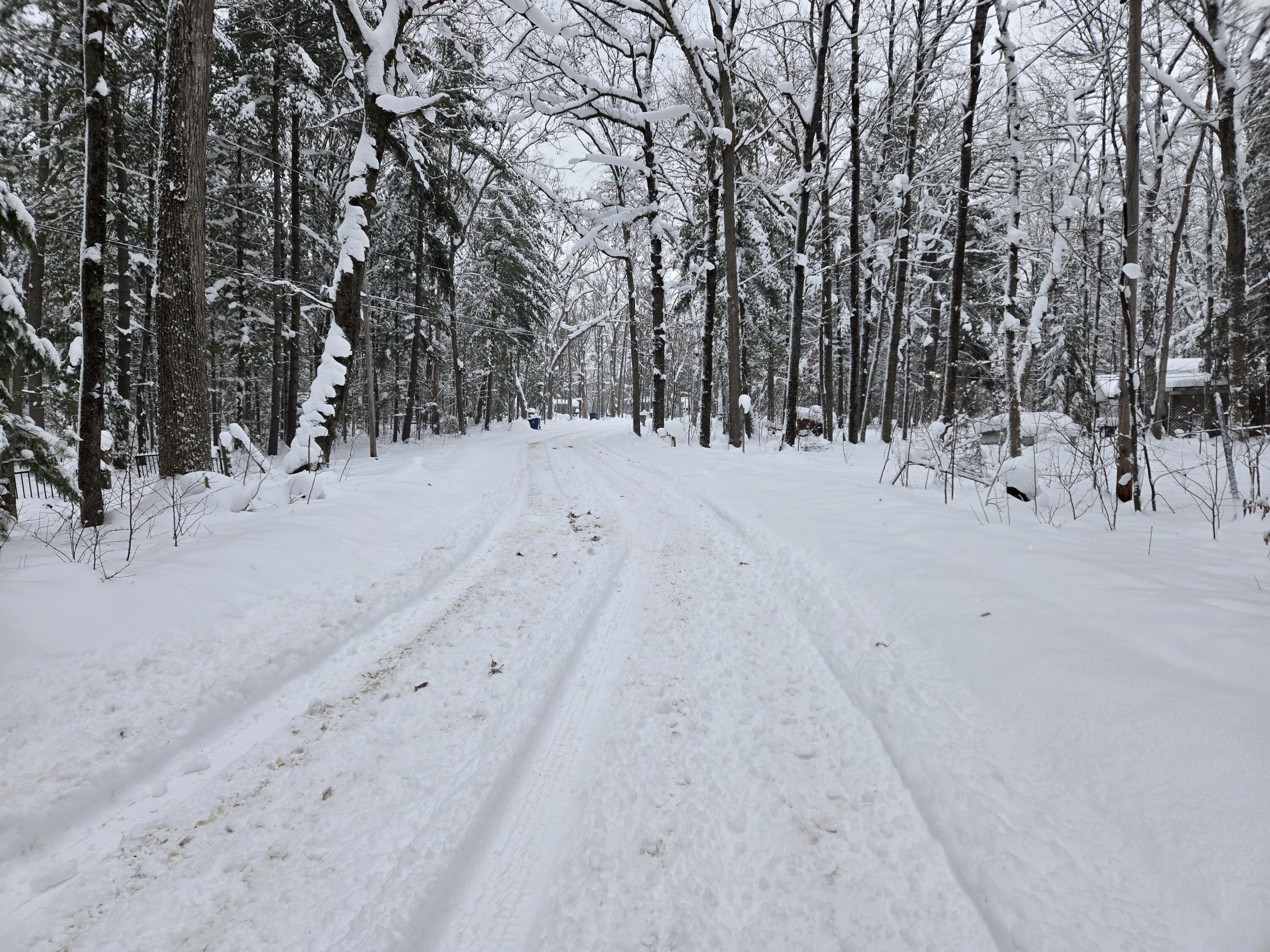 V/l South Whalen Lake Road Baldwin, MI 49304 - Photo 3 of 3 vs8