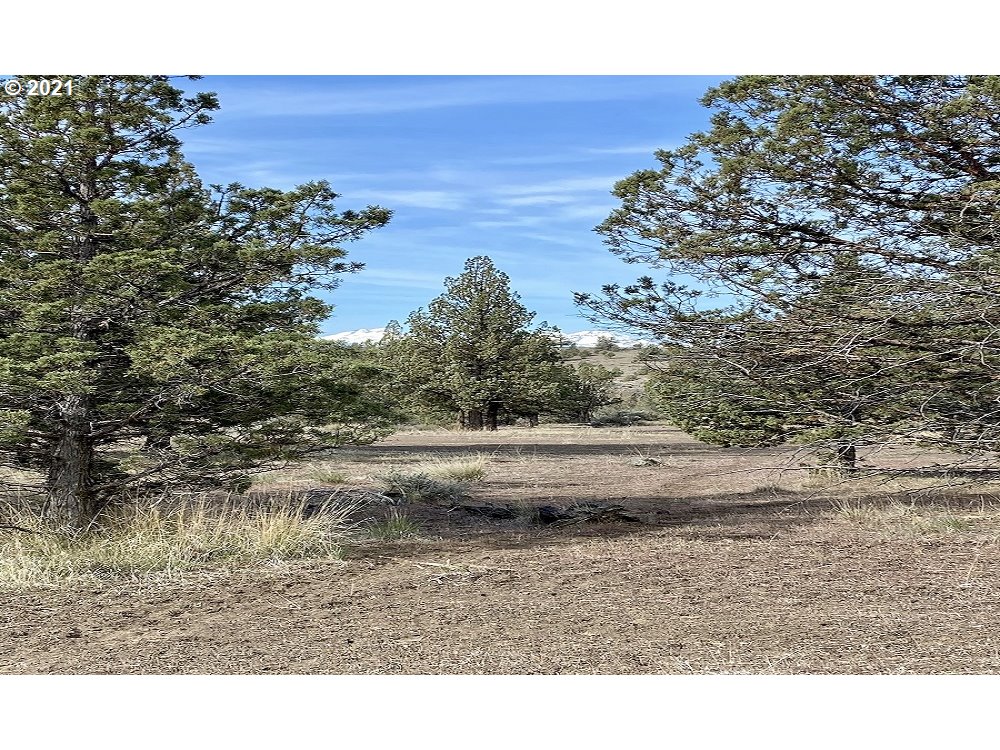 Ridge Road Terrebonne, OR 97760 - Photo 1 of 5 Gallery Image 1