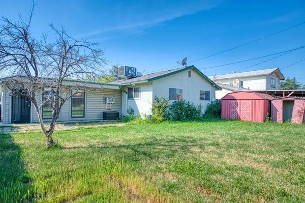 a backyard of a house with plants and large tree