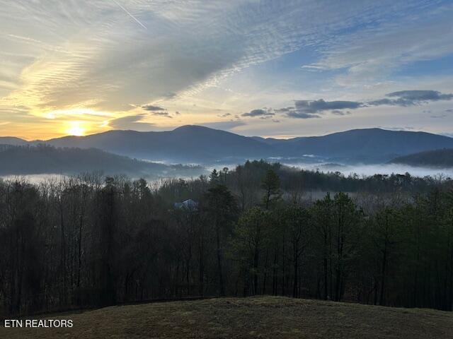 1015 Kizzy Patch Way Del Rio, TN 37727 - Photo 34 of 34 IMG_7291