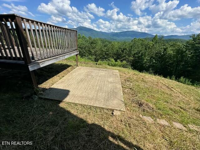 1015 Kizzy Patch Way Del Rio, TN 37727 - Photo 4 of 34 Kizzy patch4