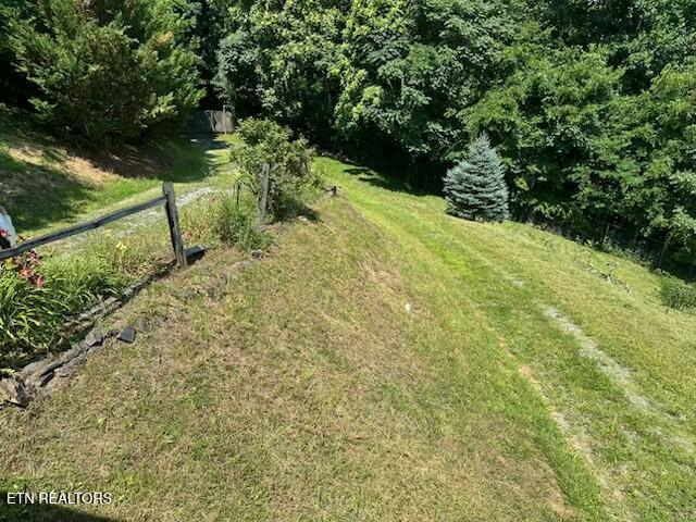 1015 Kizzy Patch Way Del Rio, TN 37727 - Photo 6 of 34 Kizzy patch6