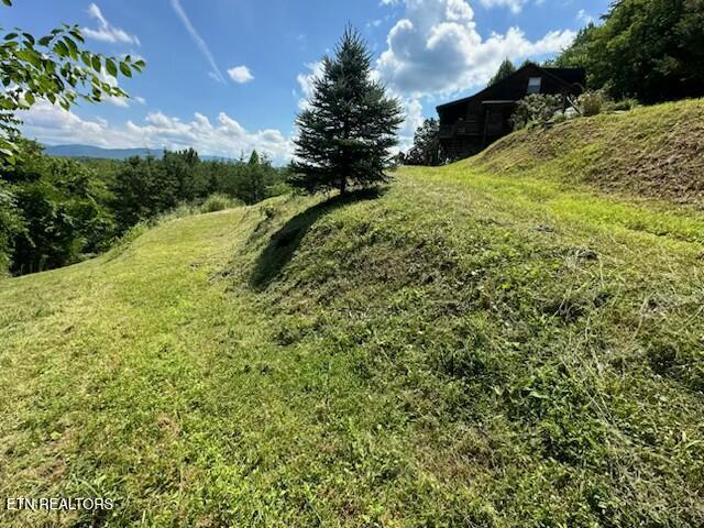 1015 Kizzy Patch Way Del Rio, TN 37727 - Photo 7 of 34 Kizzy patch7