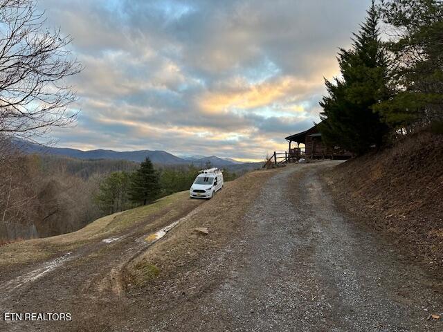 1015 Kizzy Patch Way Del Rio, TN 37727 - Photo 8 of 34 IMG_6885