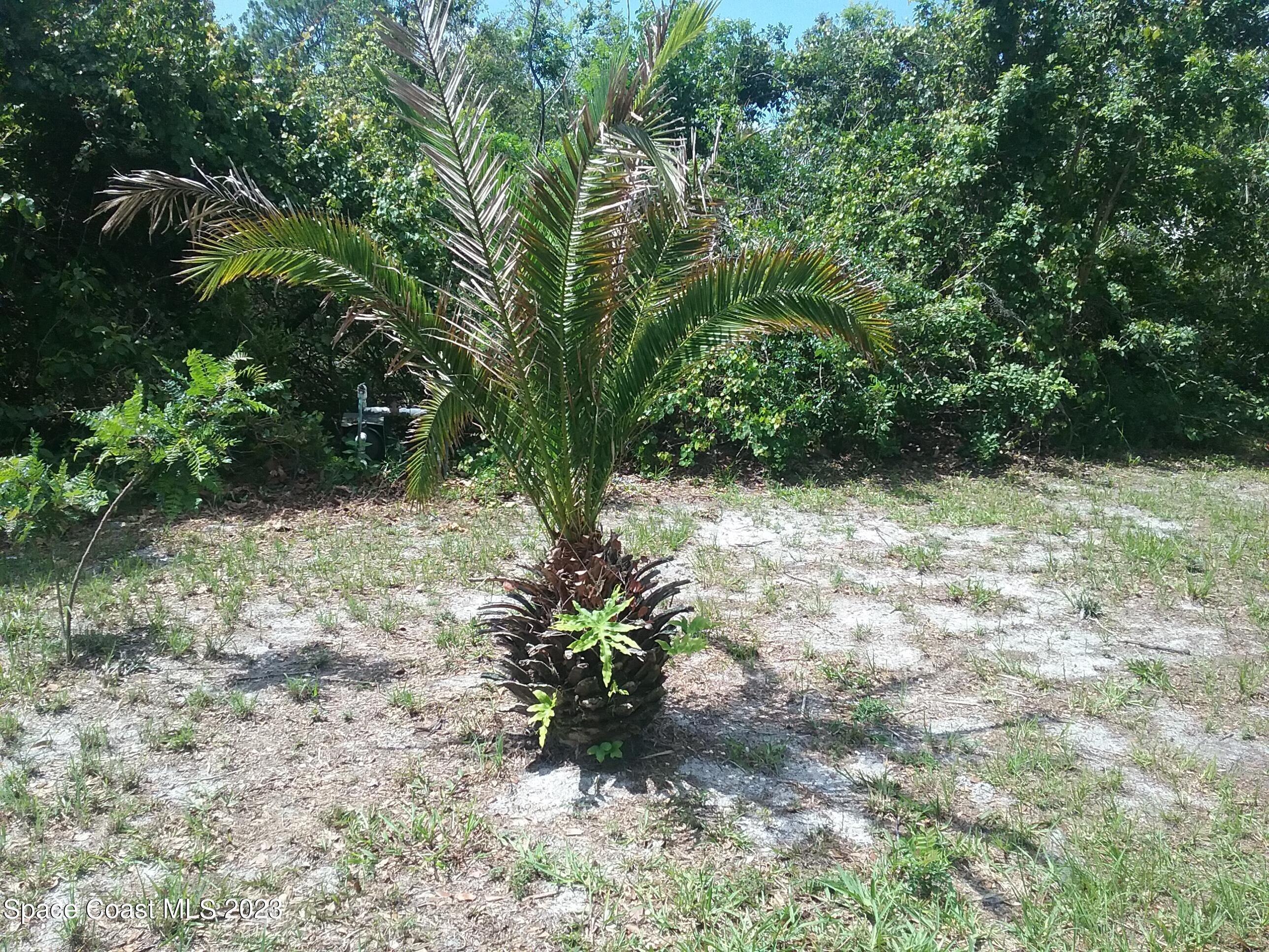 1609 Ridge Drive Cocoa, FL 32926 - Photo 30 of 30 20180603_112855