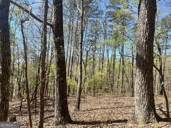 $45,000 | Lot 92 Doll Mountain Road, Ellijay, GA 30540