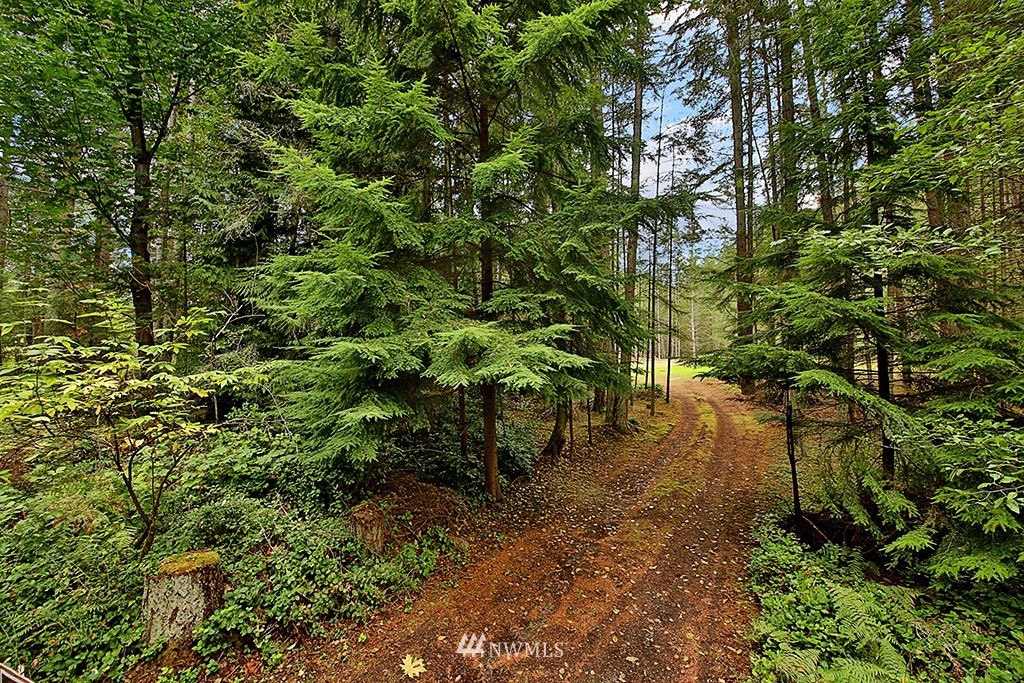 3175 East Andreason Road Langley, WA 98260 - Photo 1 of 13 Gallery Image 1