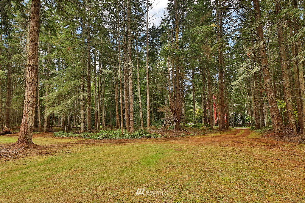 3175 East Andreason Road Langley, WA 98260 - Photo 6 of 13 Gallery Image 6