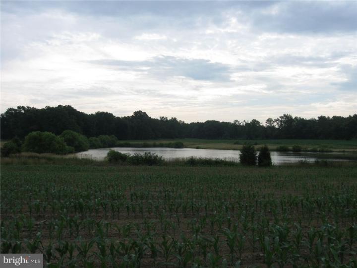 430 Alloway-Woodstown Road Alloway, NJ 08098 - Photo 15 of 18