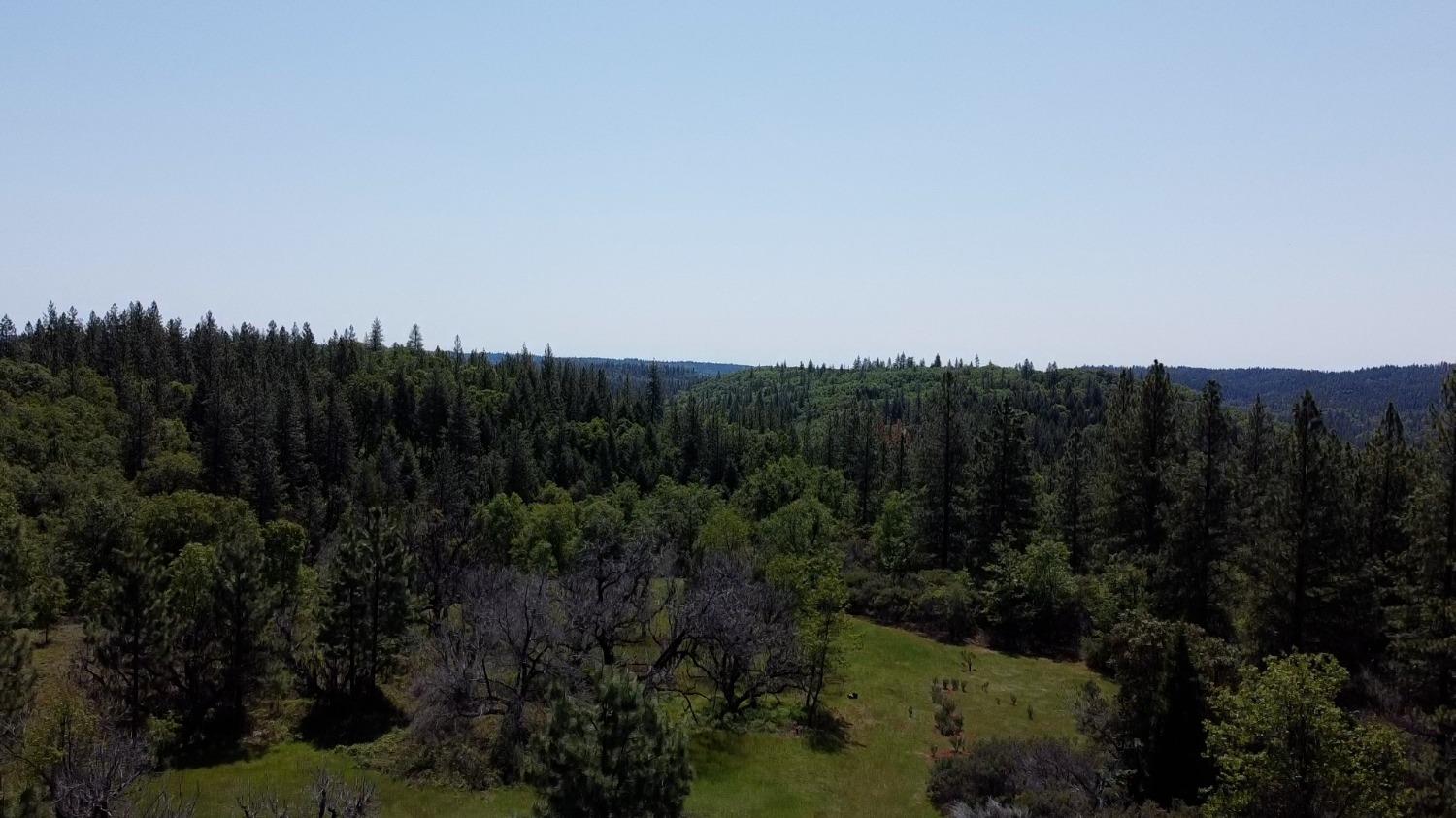 6281 Bear Creek Road Garden Valley, CA 95633 - Photo 11 of 51 a view of a city with lush green forest