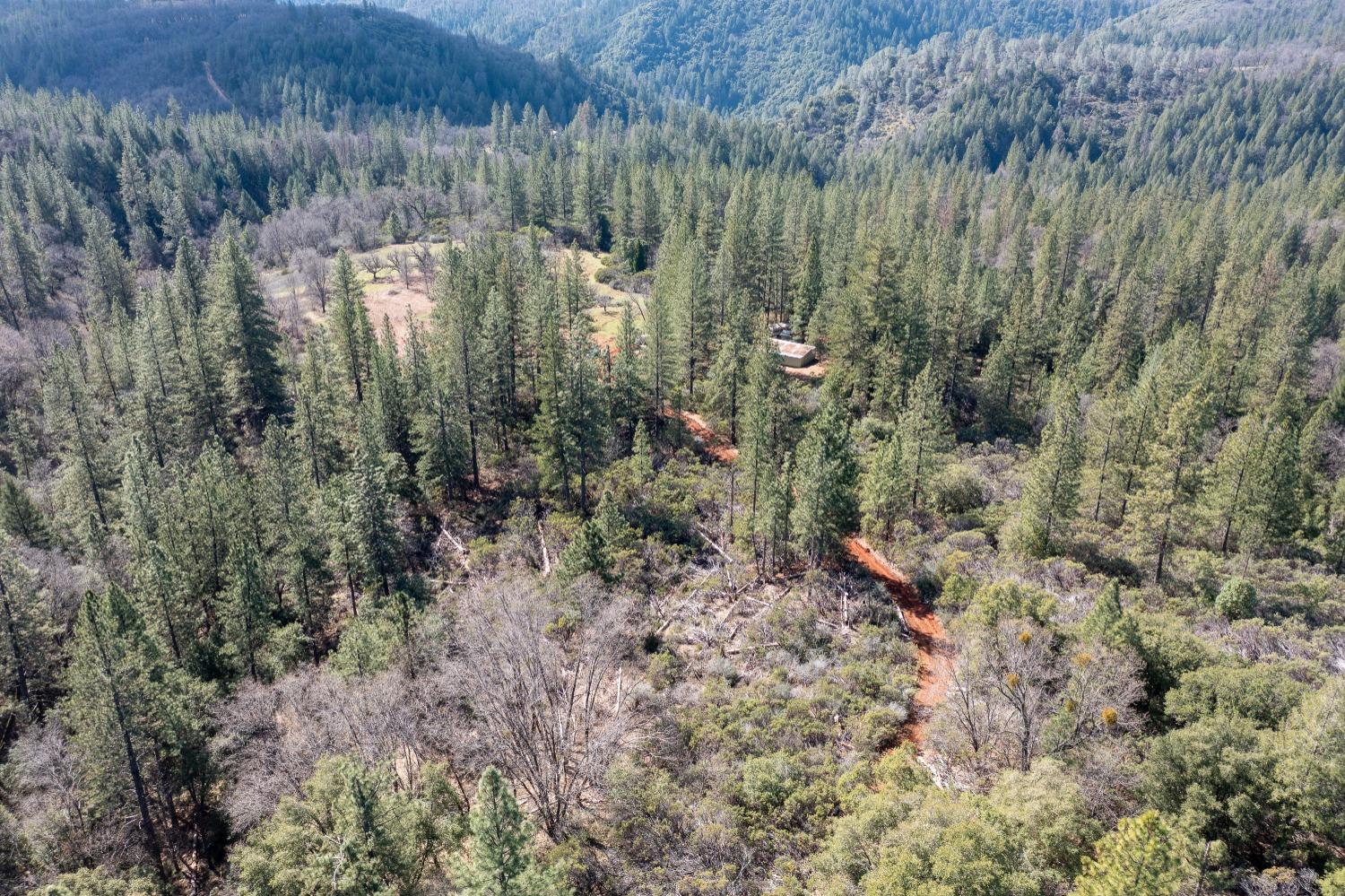 6281 Bear Creek Road Garden Valley, CA 95633 - Photo 18 of 51 a view of a forest with a wooden fence