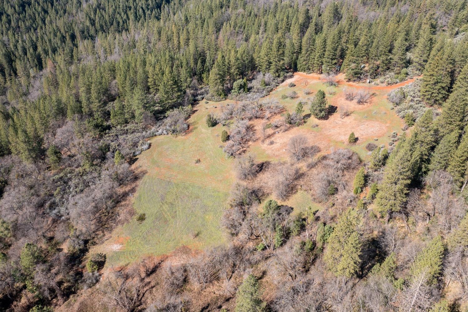 6281 Bear Creek Road Garden Valley, CA 95633 - Photo 19 of 51 a view of a yard with a tree