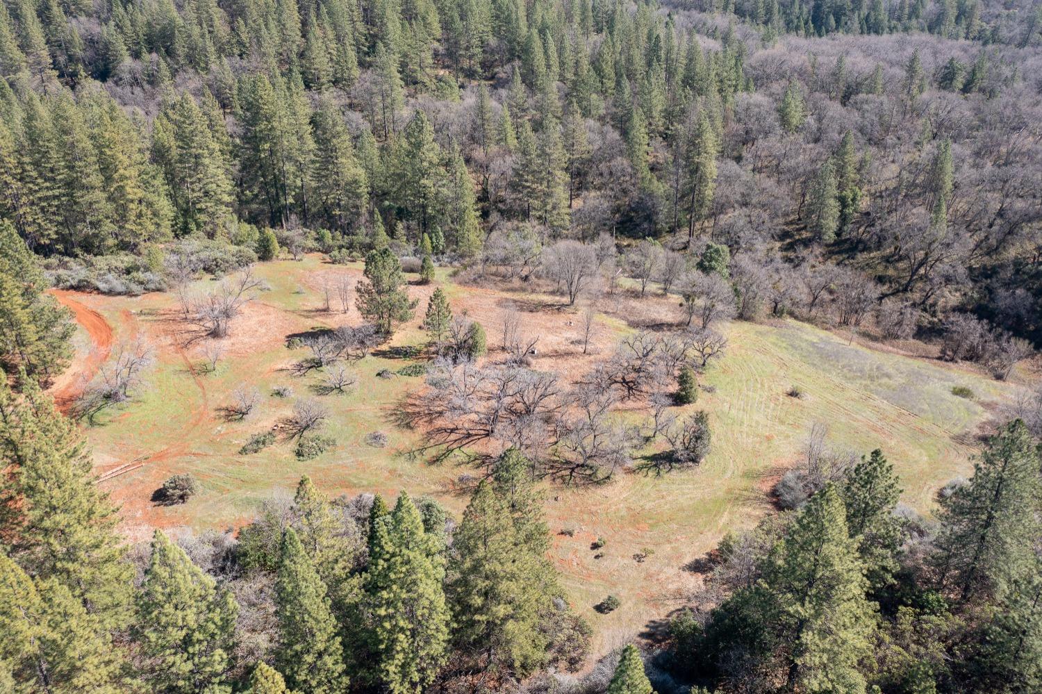 6281 Bear Creek Road Garden Valley, CA 95633 - Photo 2 of 51 a view of outdoor space and covered with trees