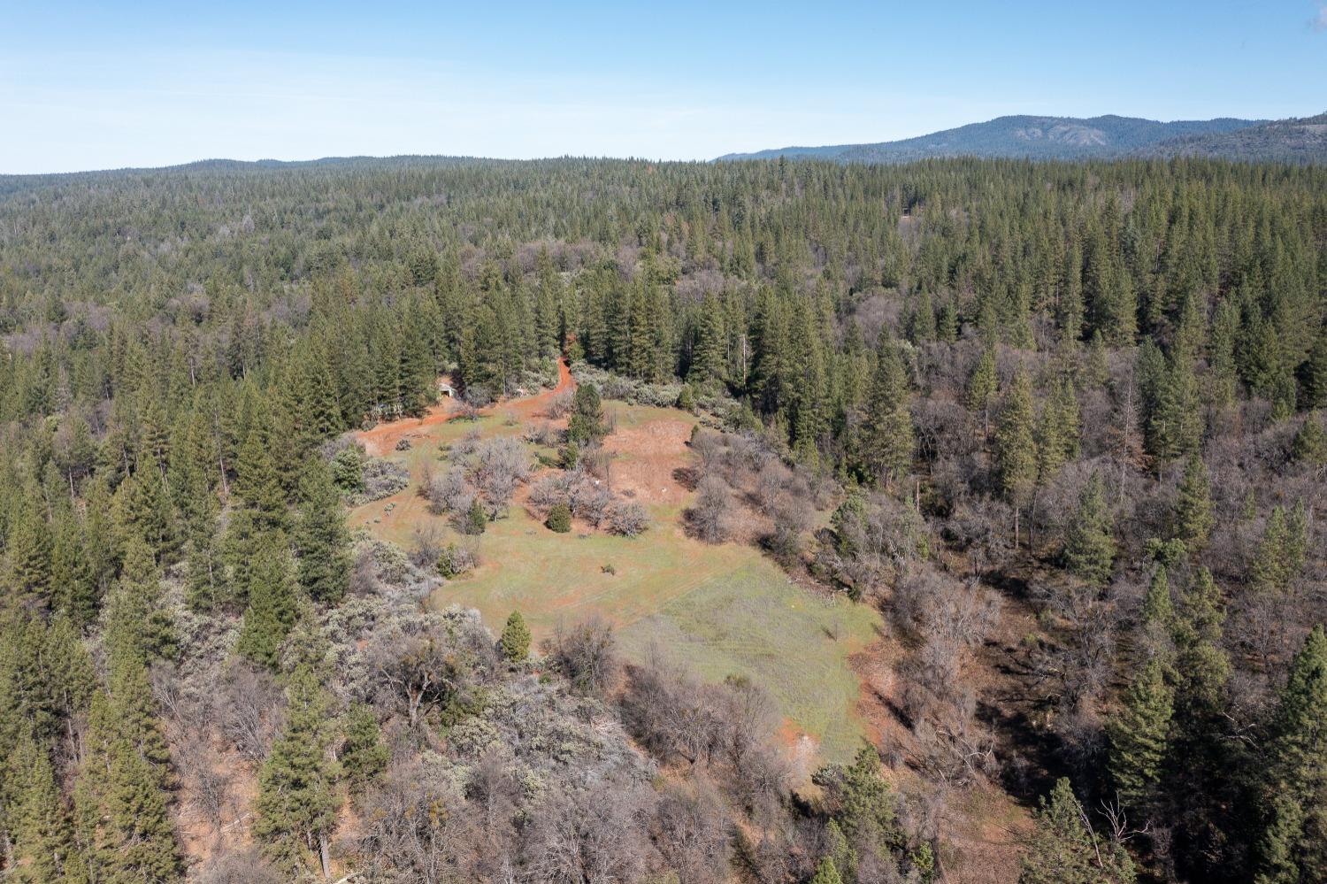 6281 Bear Creek Road Garden Valley, CA 95633 - Photo 21 of 51 a view of a forest with a mountain in the background