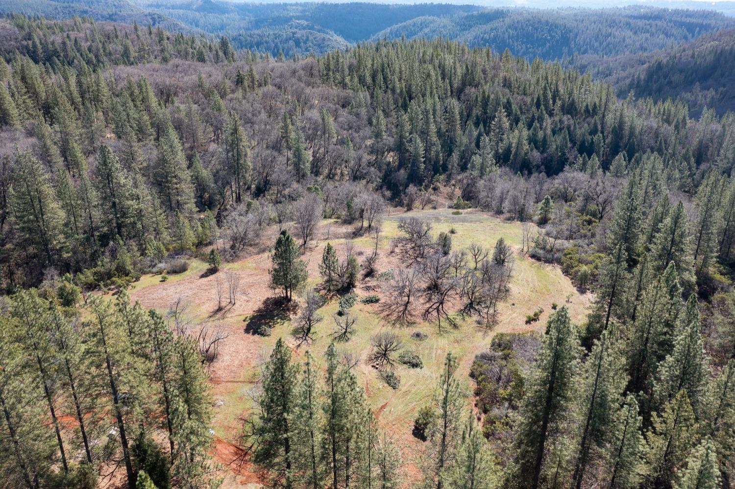 6281 Bear Creek Road Garden Valley, CA 95633 - Photo 22 of 51 a view of a dry yard covered with trees