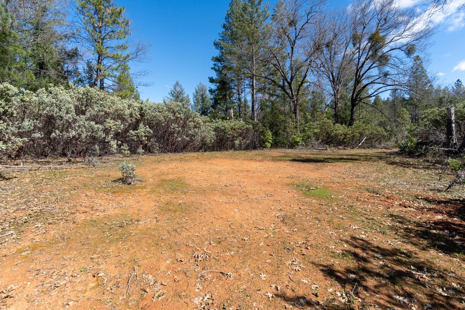 6281 Bear Creek Road Garden Valley, CA 95633 - Photo 27 of 51 a view of yard with large trees