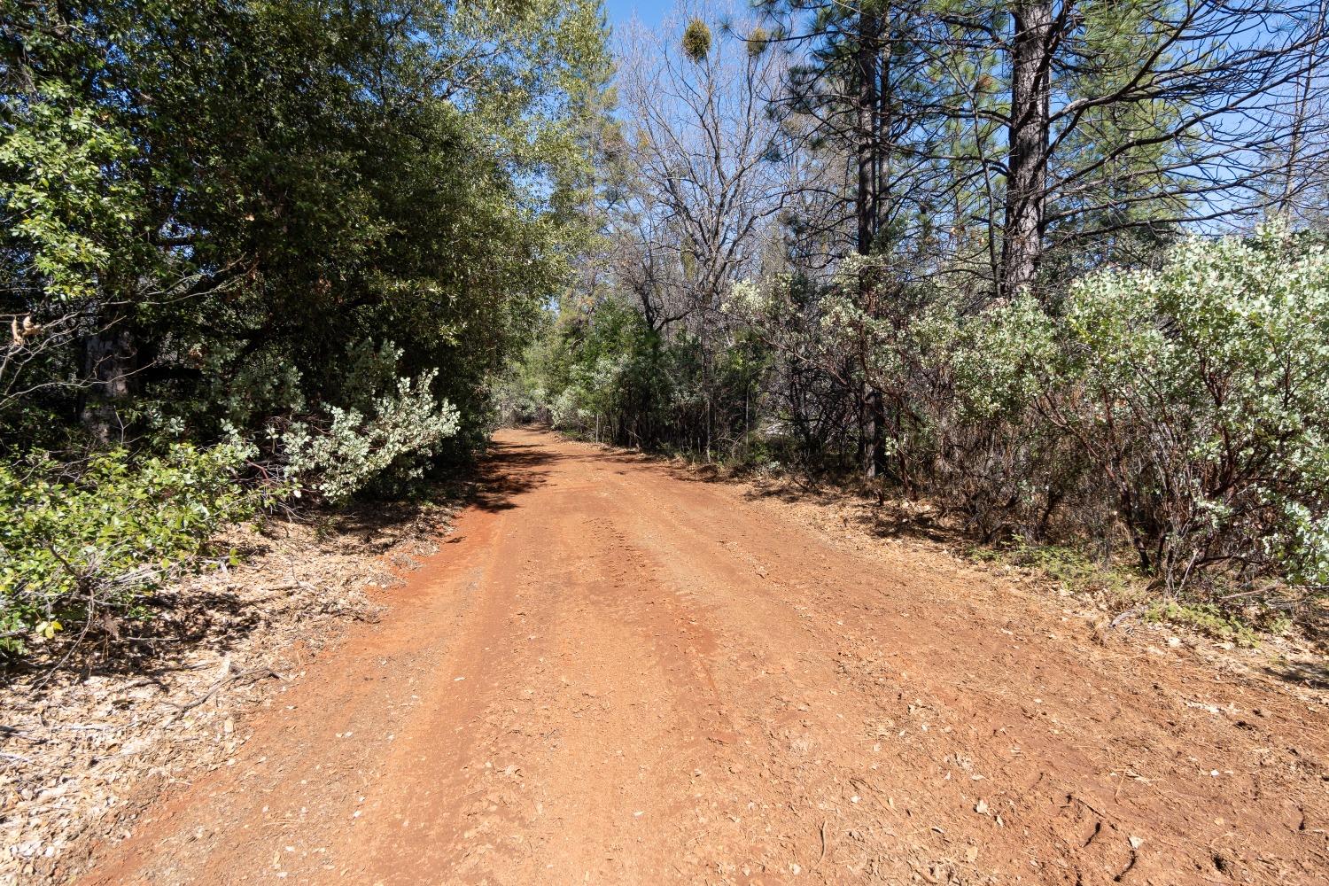 6281 Bear Creek Road Garden Valley, CA 95633 - Photo 30 of 51 a view of side of a road with trees in the background