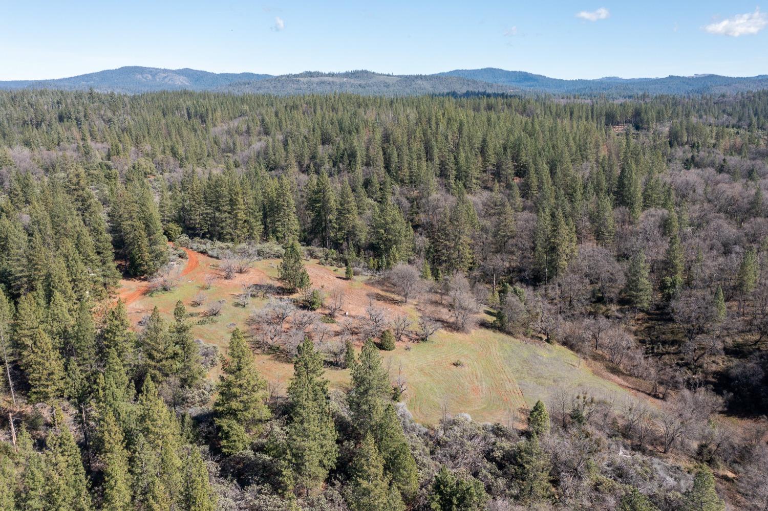6281 Bear Creek Road Garden Valley, CA 95633 - Photo 3 of 51 a view of a forest with a mountain