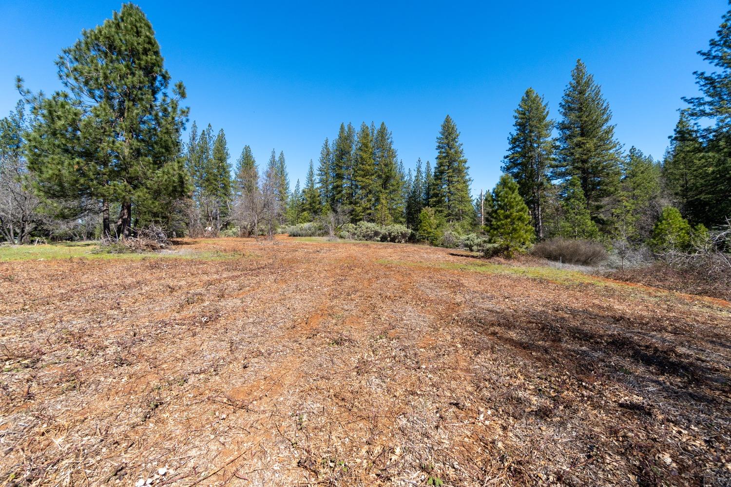 6281 Bear Creek Road Garden Valley, CA 95633 - Photo 44 of 51 a view of dirt yard with trees