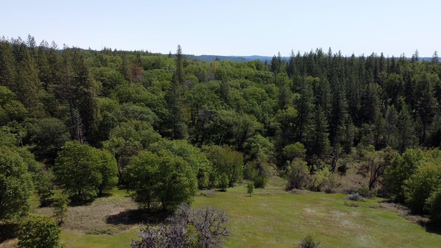 6281 Bear Creek Road Garden Valley, CA 95633 - Photo 10 of 51 a view of a forest with a forest