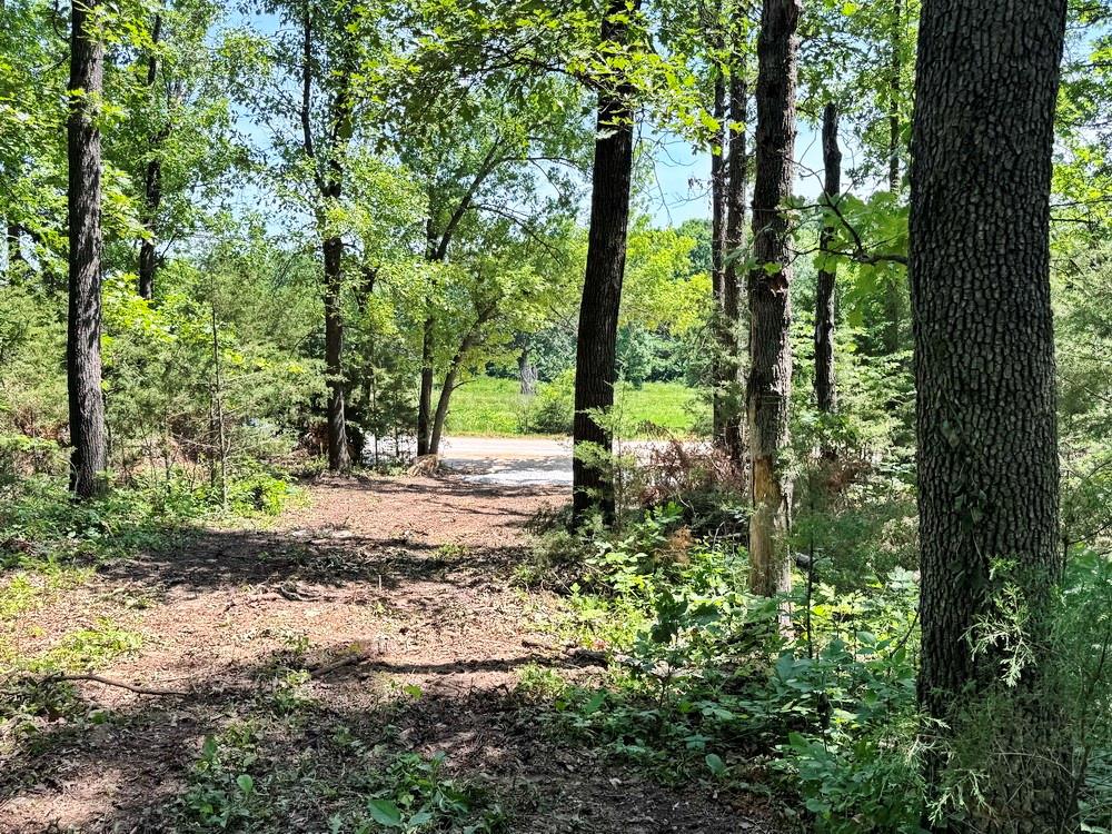 Tbd1 East 1550 Road Jerico Springs, MO 64756 - Photo 20 of 23