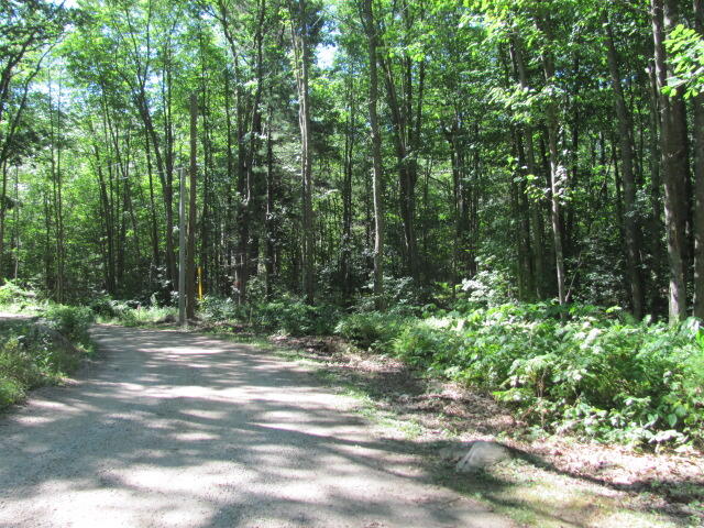 40 Moose Rocks Road Kennebunkport, ME 04046 - Photo 7 of 8 Moose Rocks Road 1401