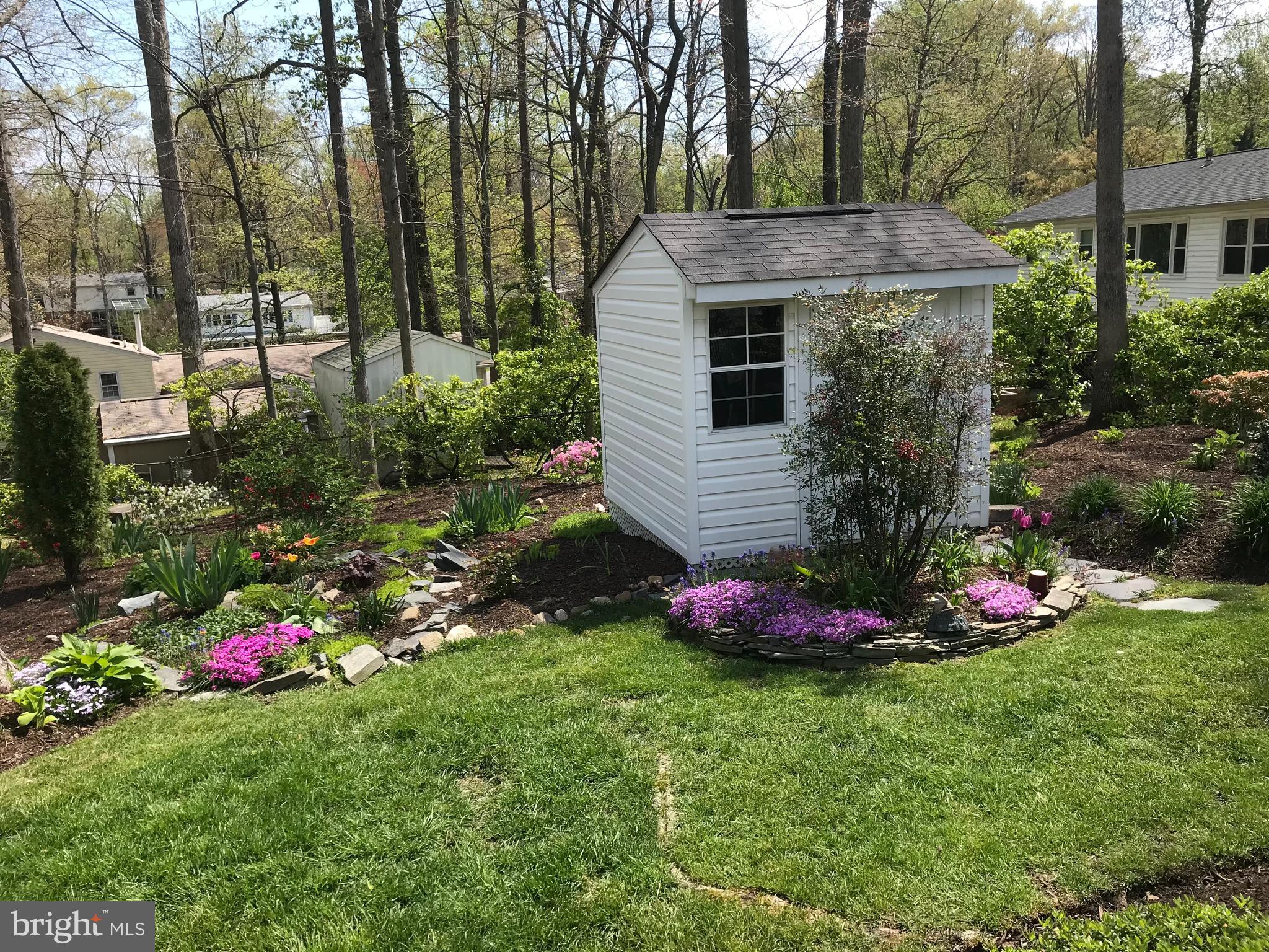 6607 Grey Fox Drive Springfield, VA 22152 - Photo 33 of 38 Spring 2025 in bloom
