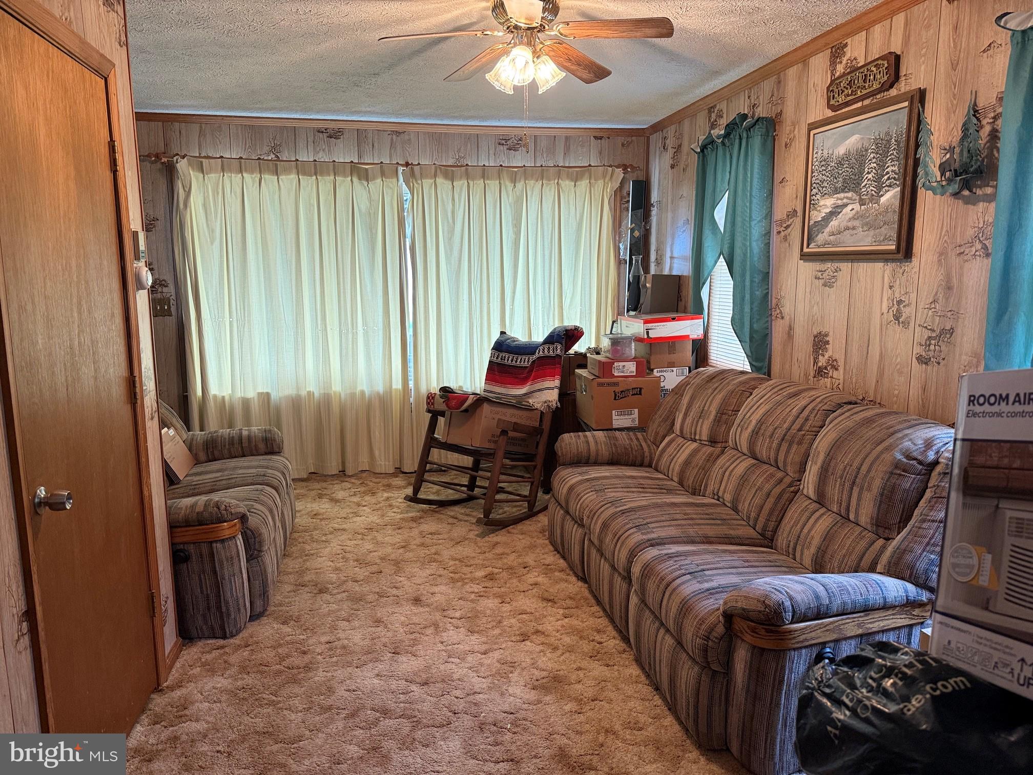 1492 Dice Warner Road Circleville, WV 26804 - Photo 6 of 36 Cozy living space with natural light.