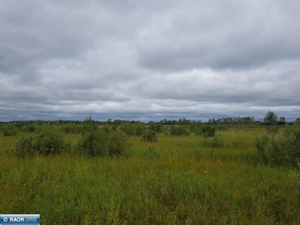 79 County Road 79 Littlefork, MN 56653 - Photo 2 of 10