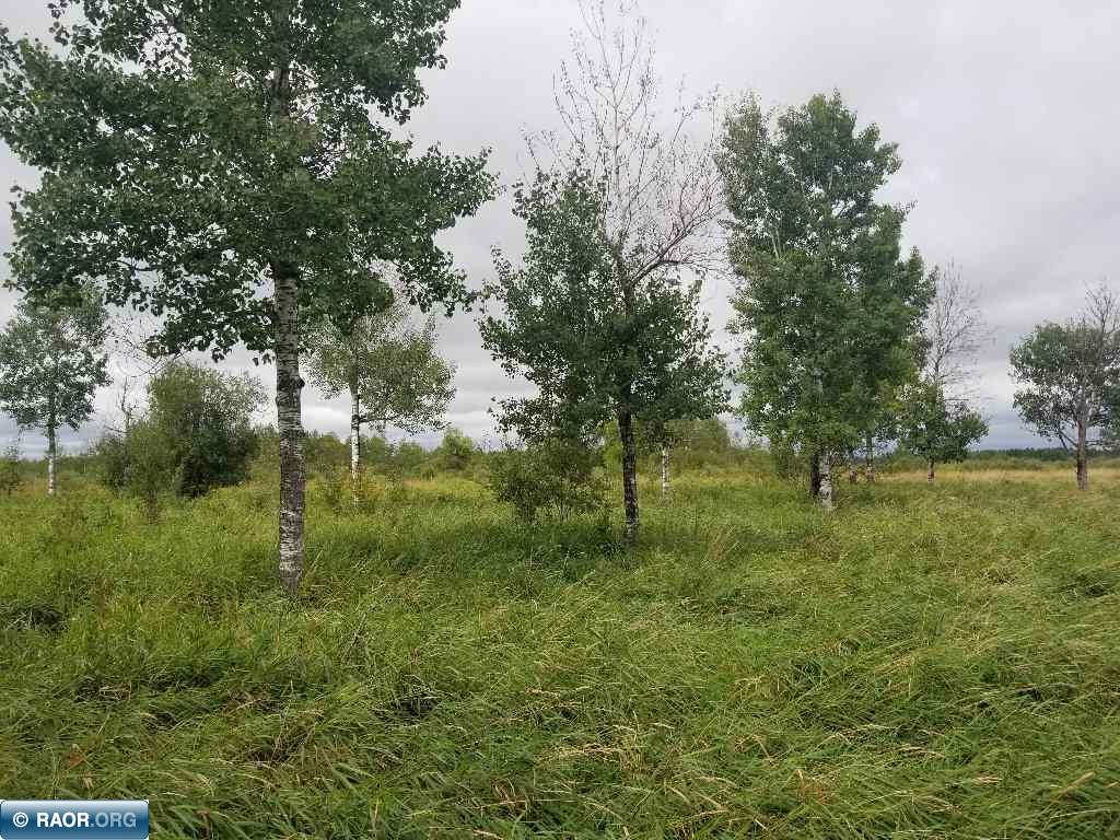 79 County Road 79 Littlefork, MN 56653 - Photo 10 of 10