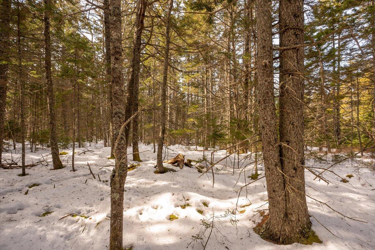 Lot 13 Nahanada Road New Harbor, ME 04554 - Photo 23 of 94 10-Nahanda-6