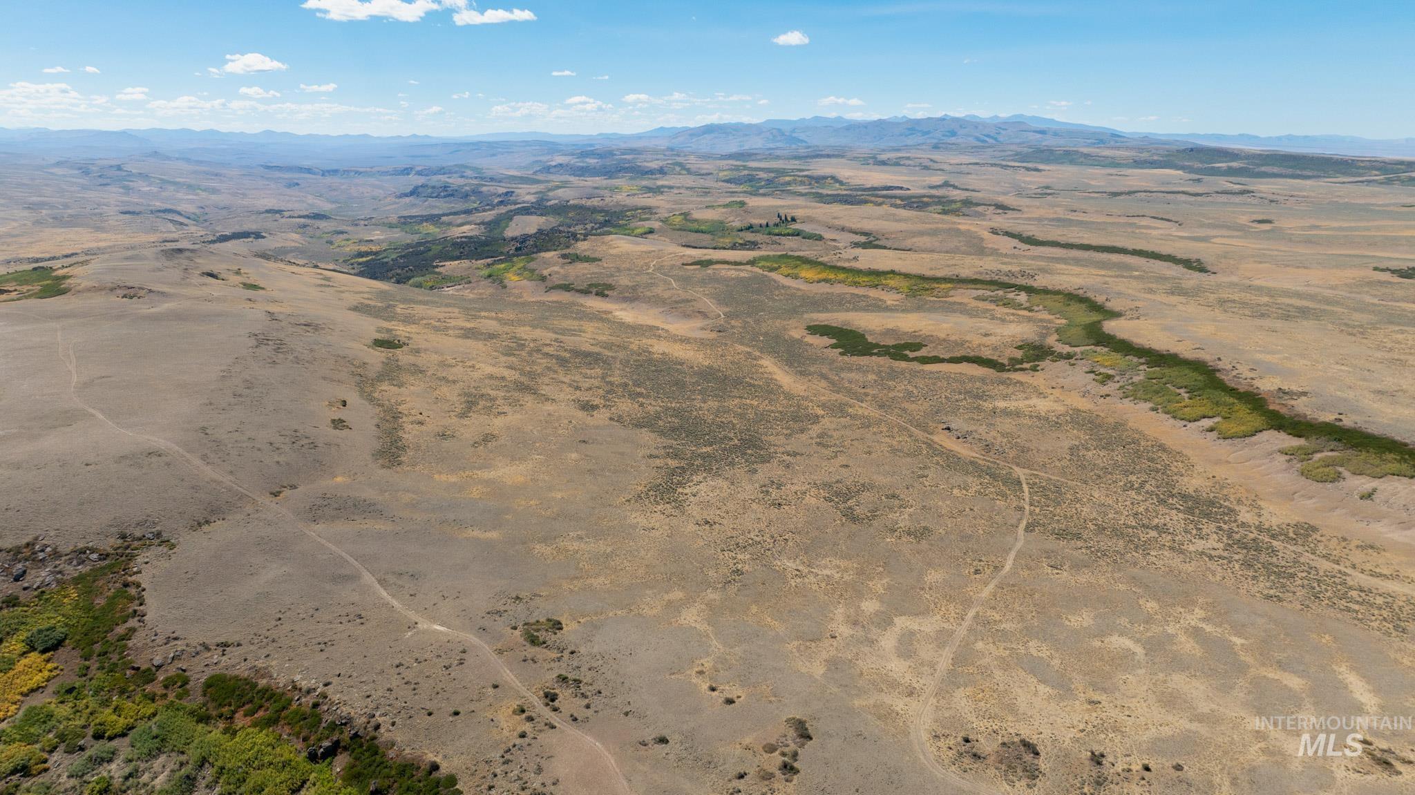 300 Antelope Springs Road Rogerson, ID 83302 - Photo 17 of 28 Gallery Image 17