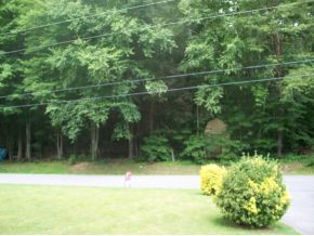 123 Hickory Springs Road Erwin, TN 37650 - Photo 20 of 24 View across street