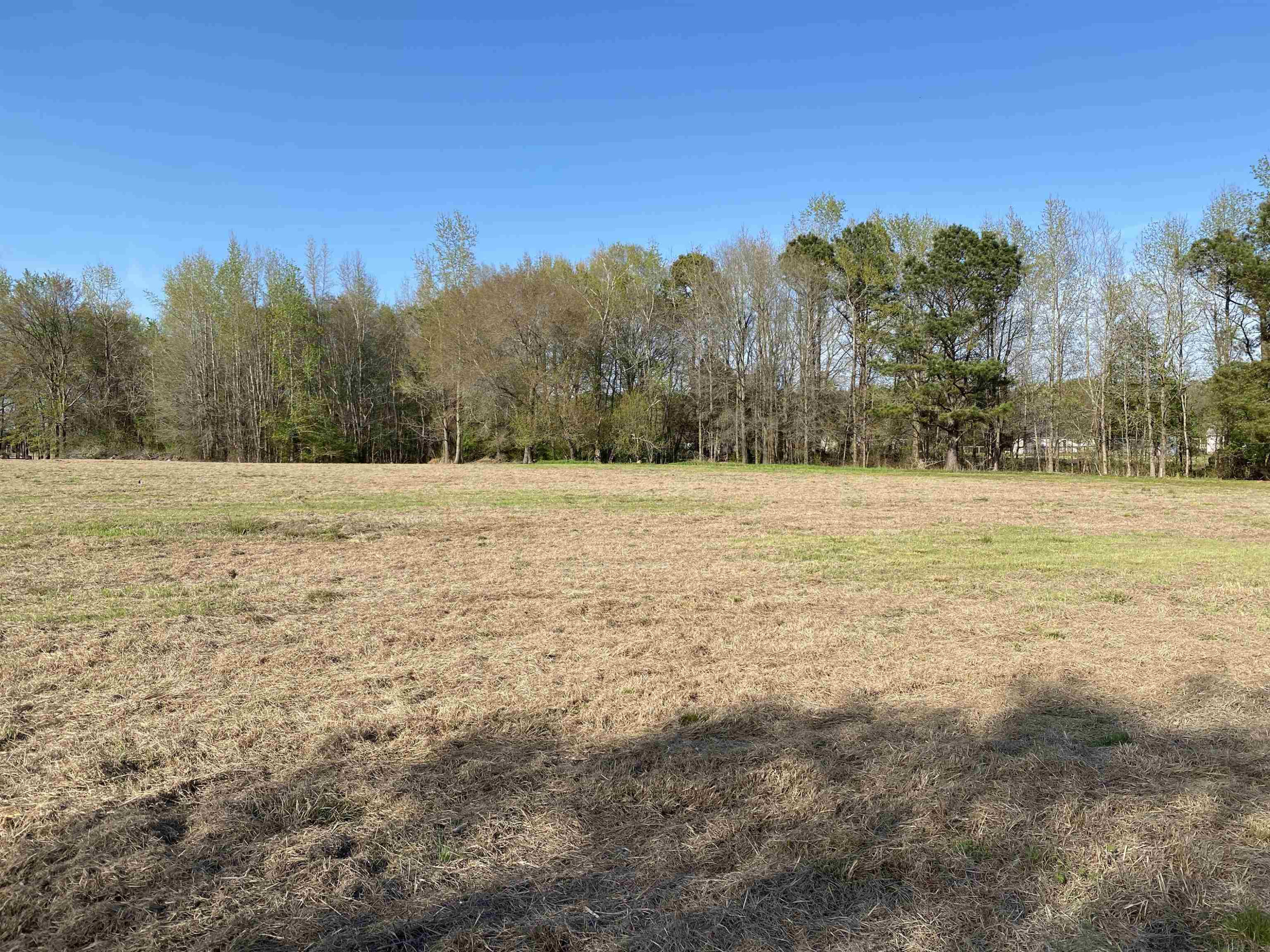 569 Smith Road Smithfield, NC 27577 - Photo 25 of 46 Photo 25