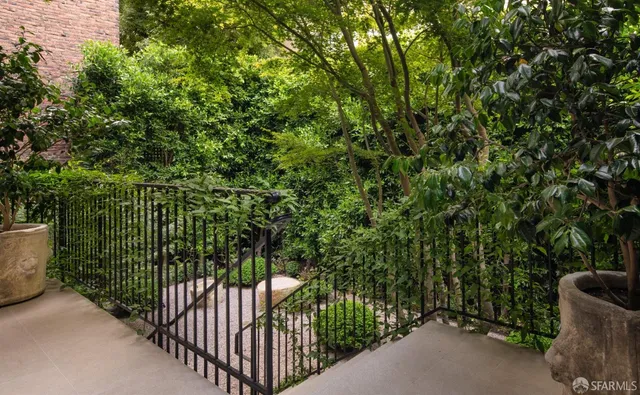 a view of a backyard