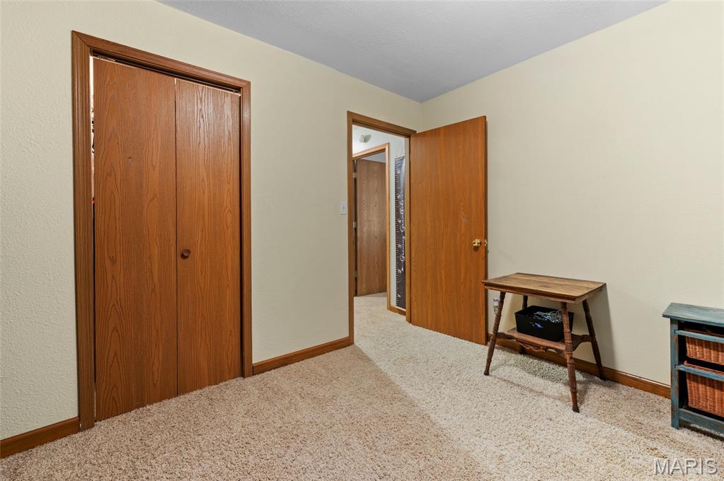 716 Springfield Road Gillespie, IL 62033 - Photo 26 of 33